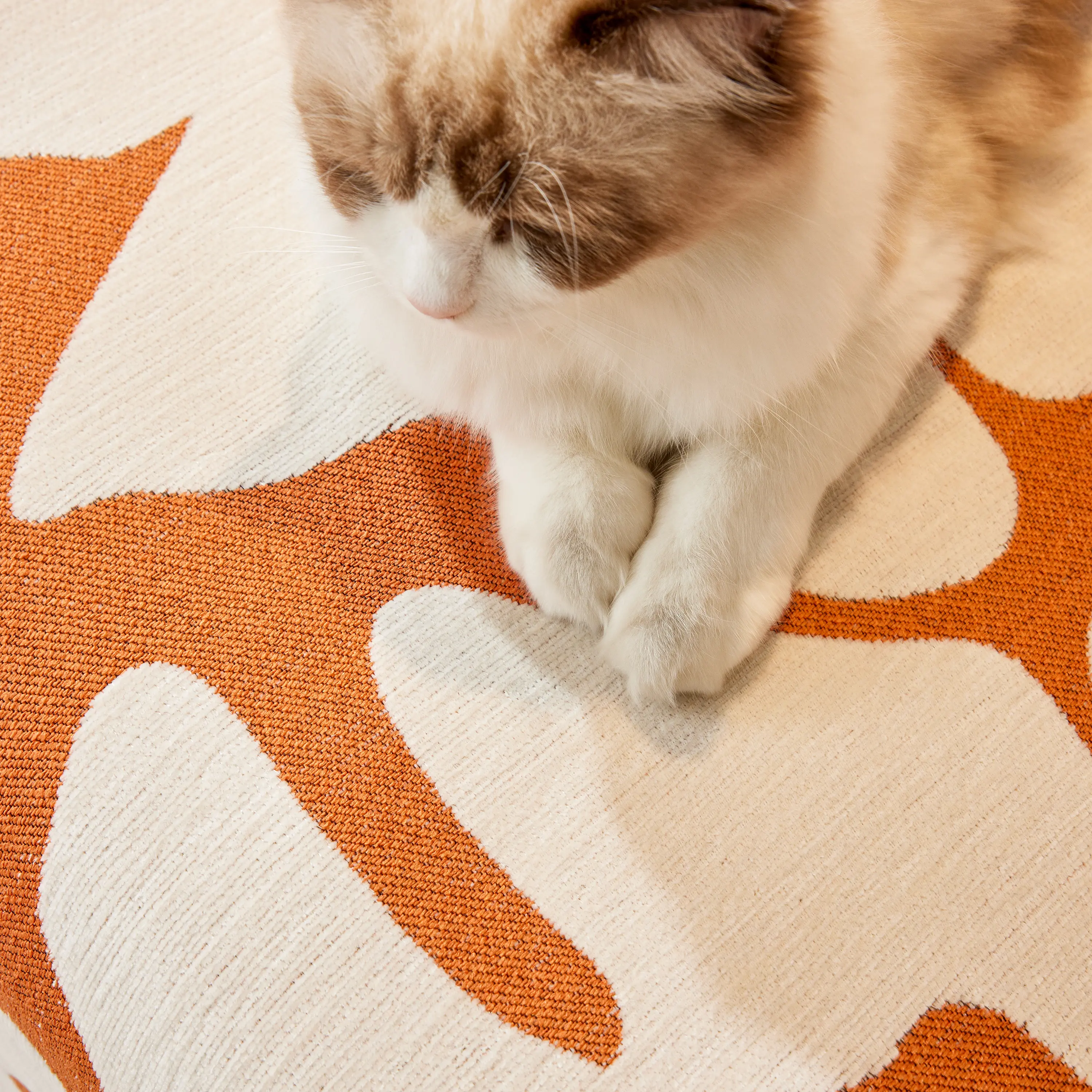 Product image 181